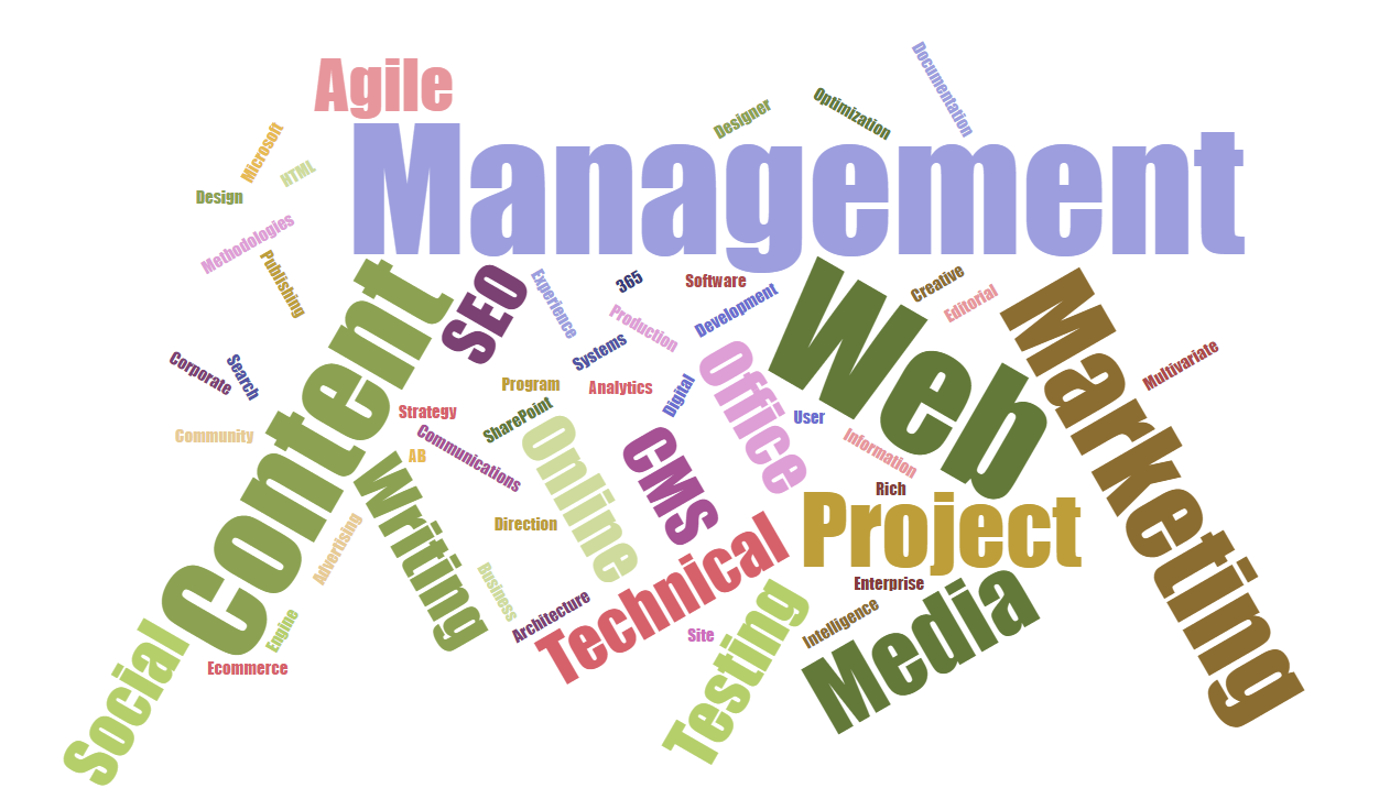 Word cloud generated from LinkedIn skills and endorsements.