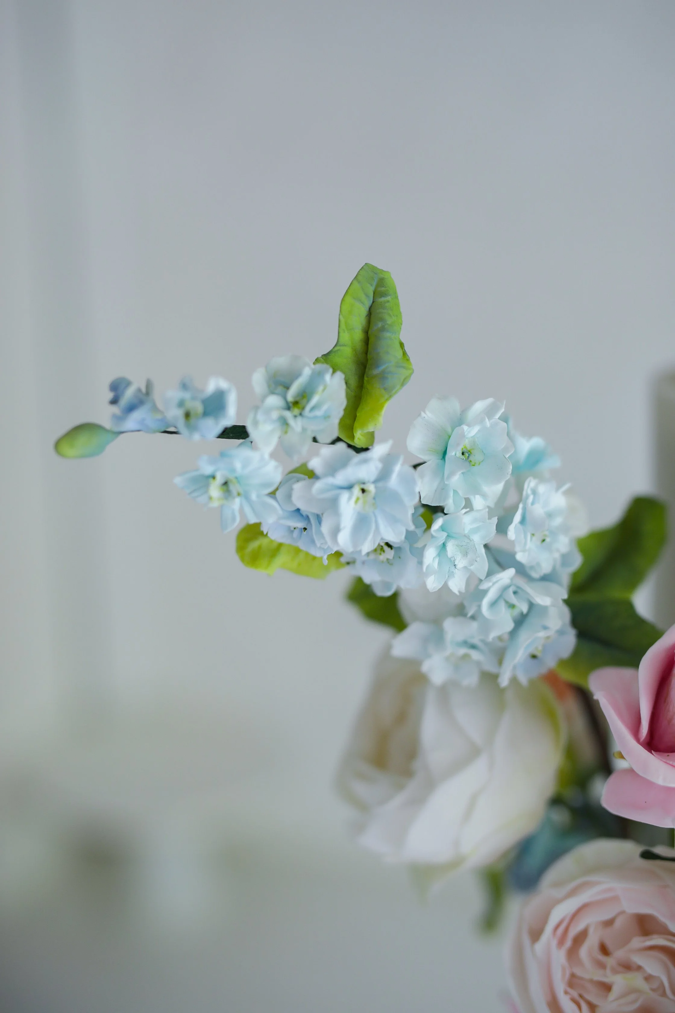 D72A9537.JPG