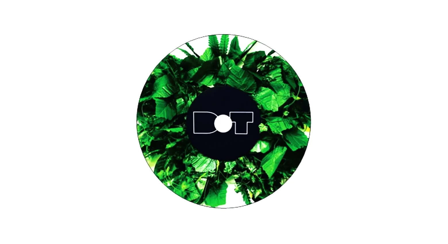 DOTHompage3.jpg