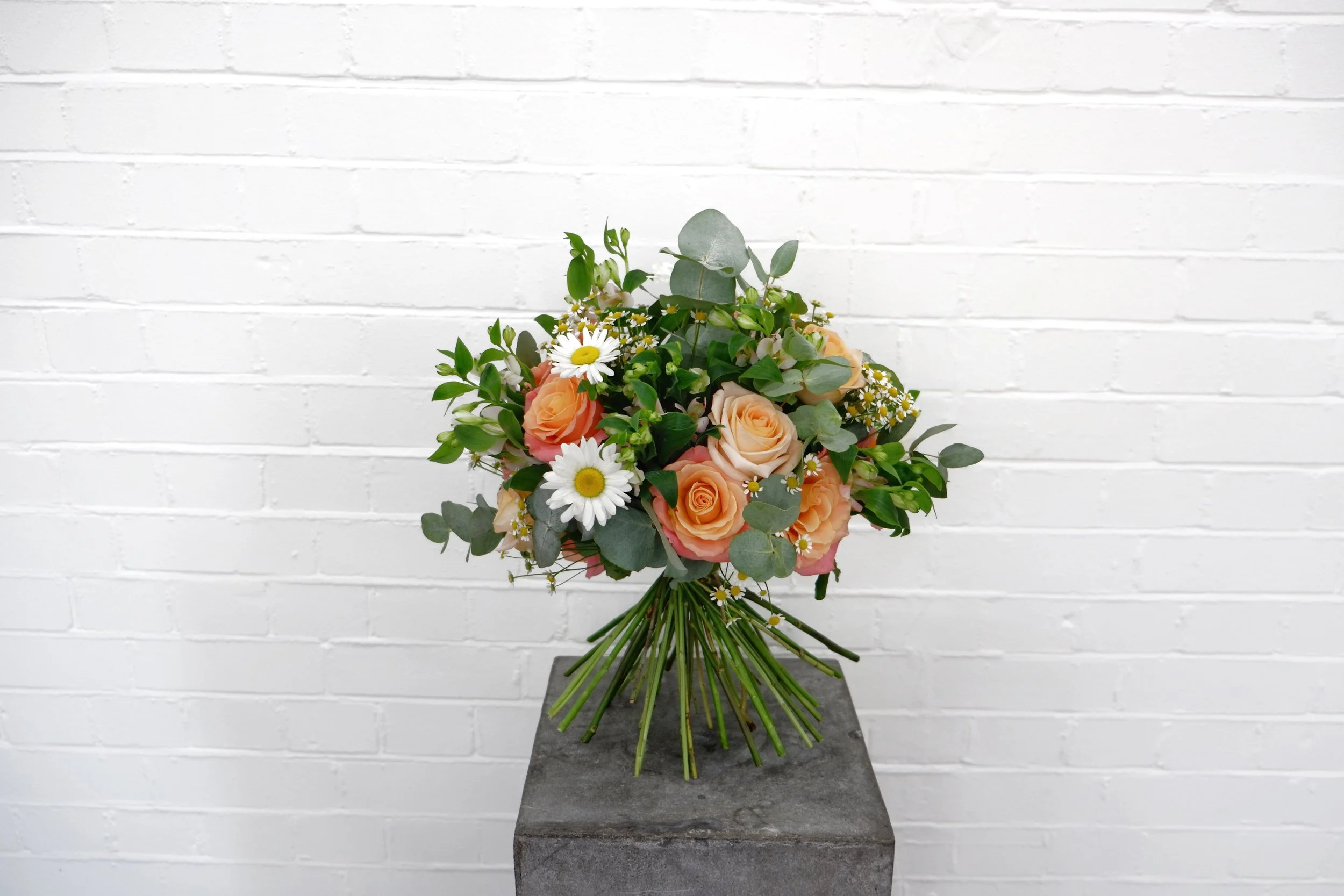 ONE DAY EXPERIENCE CLASS