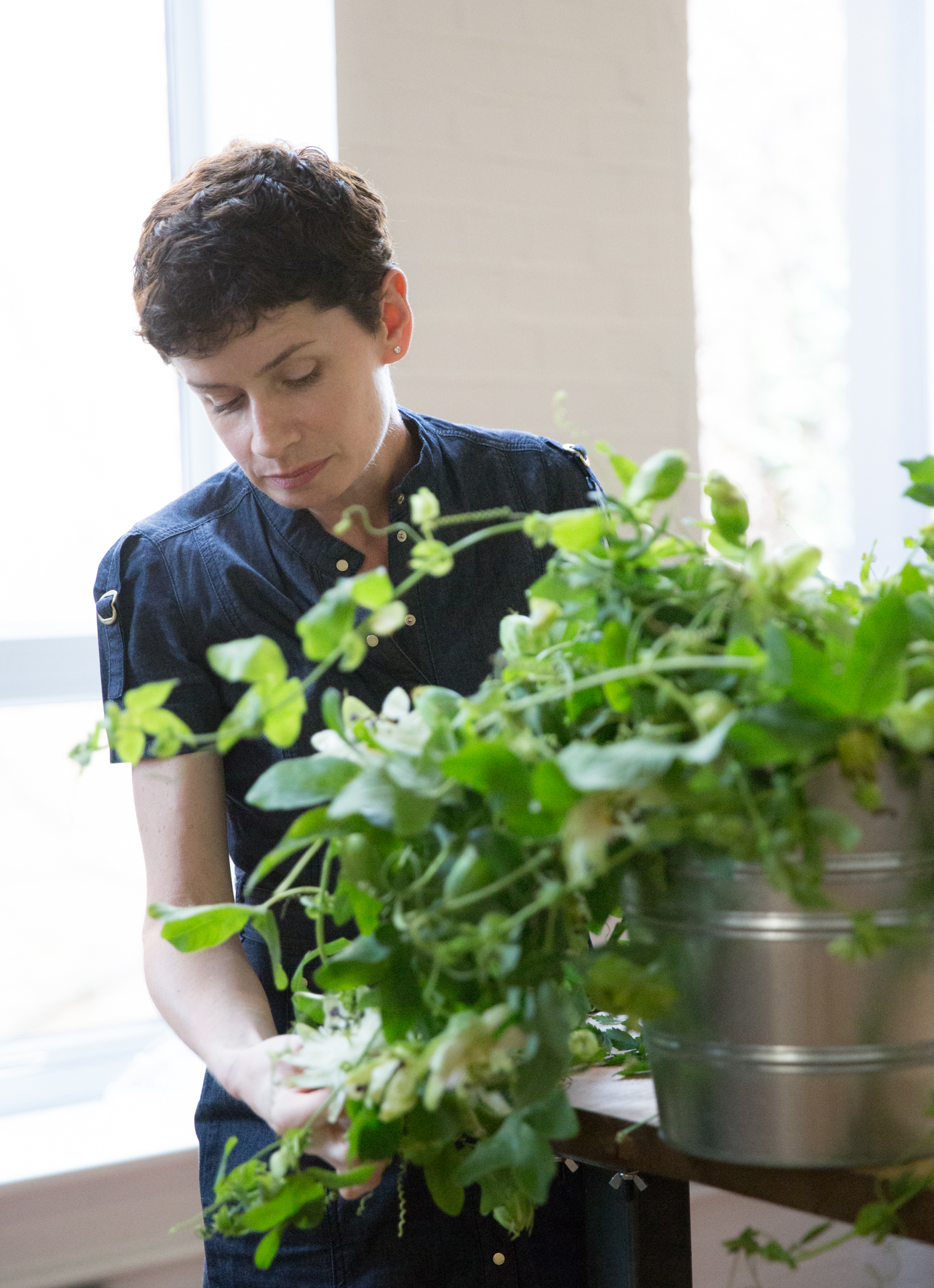 Image by Marcelo Deguchi