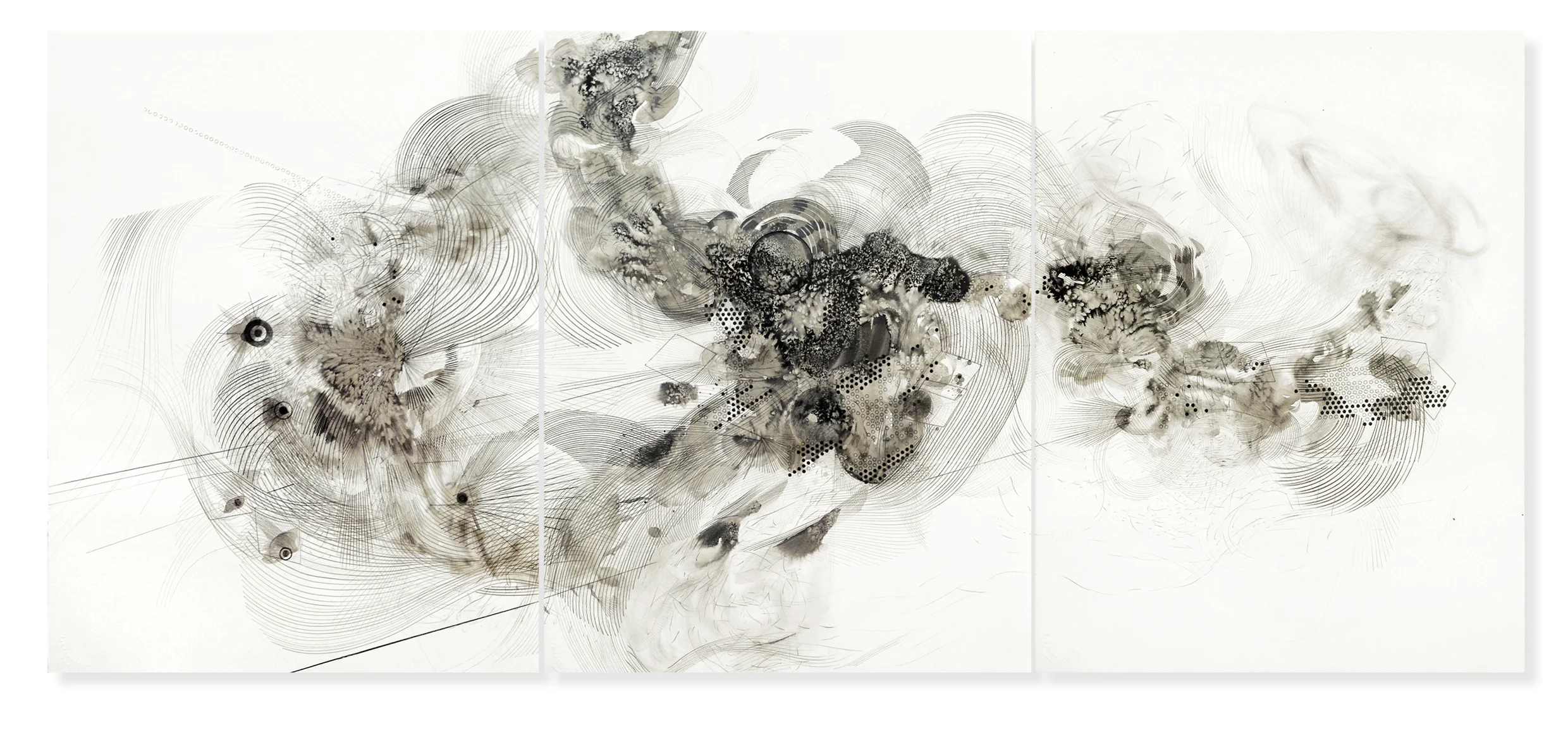 Bloom, drawing, 2016