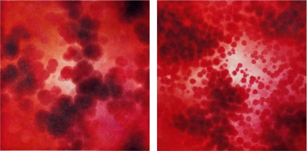 Caldera I, II, 2011