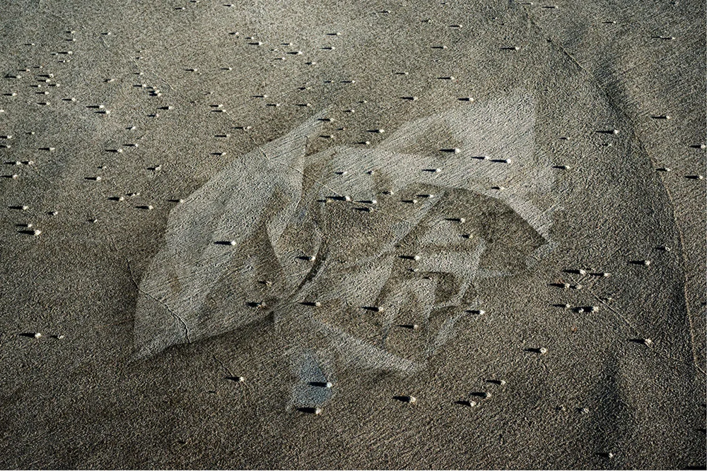 Intertidal 1, 2015
