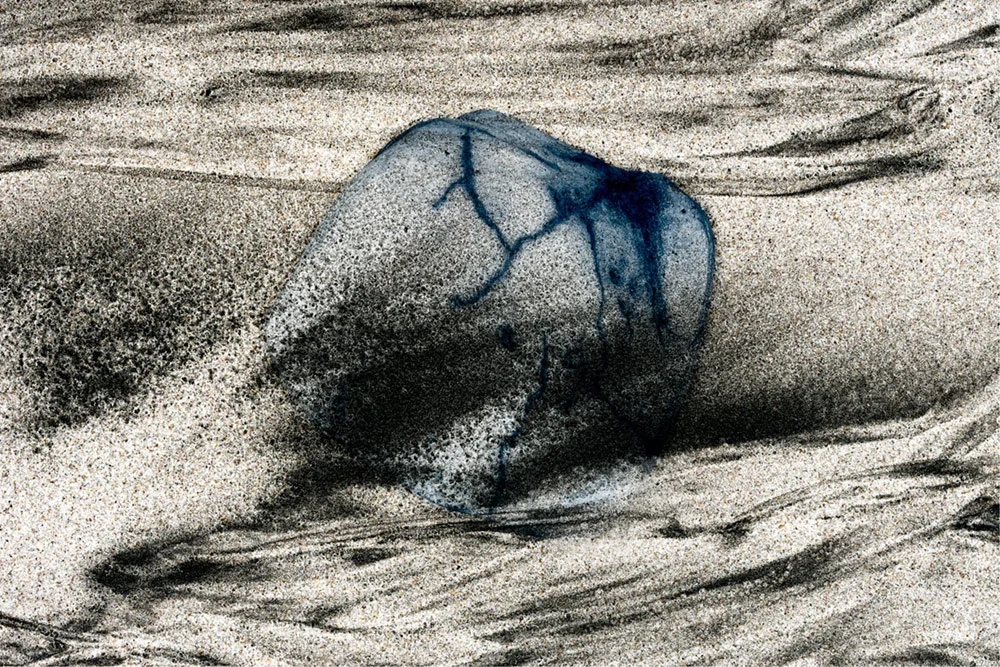 Carbon ghost, 2017