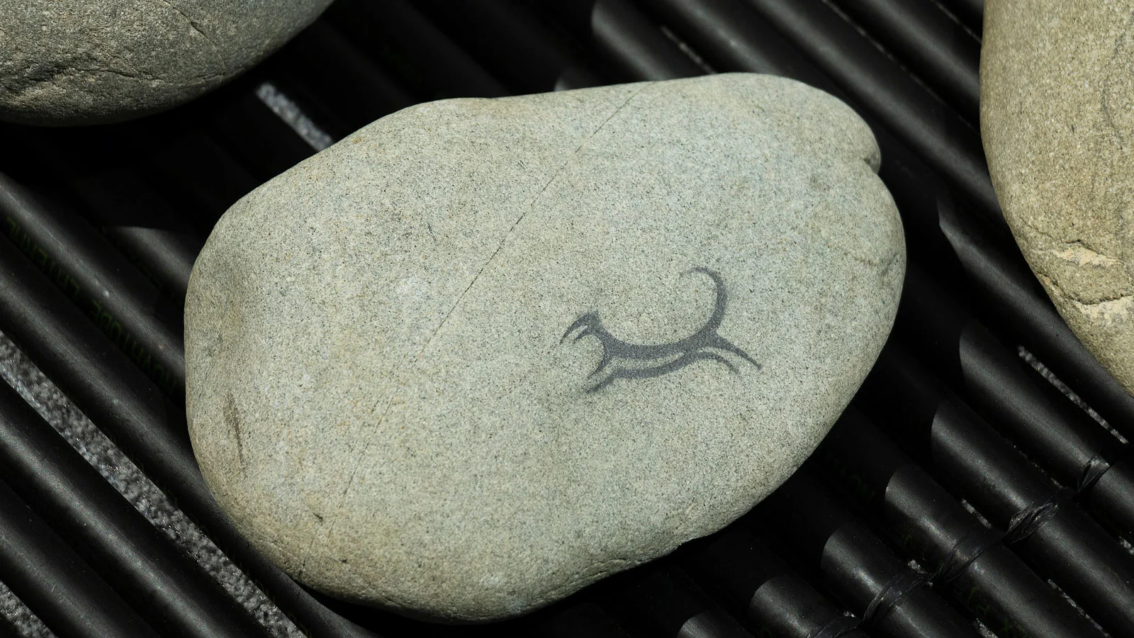 Ko Kārewa te Whakarare (detail), 2018, ROSS HEMERA