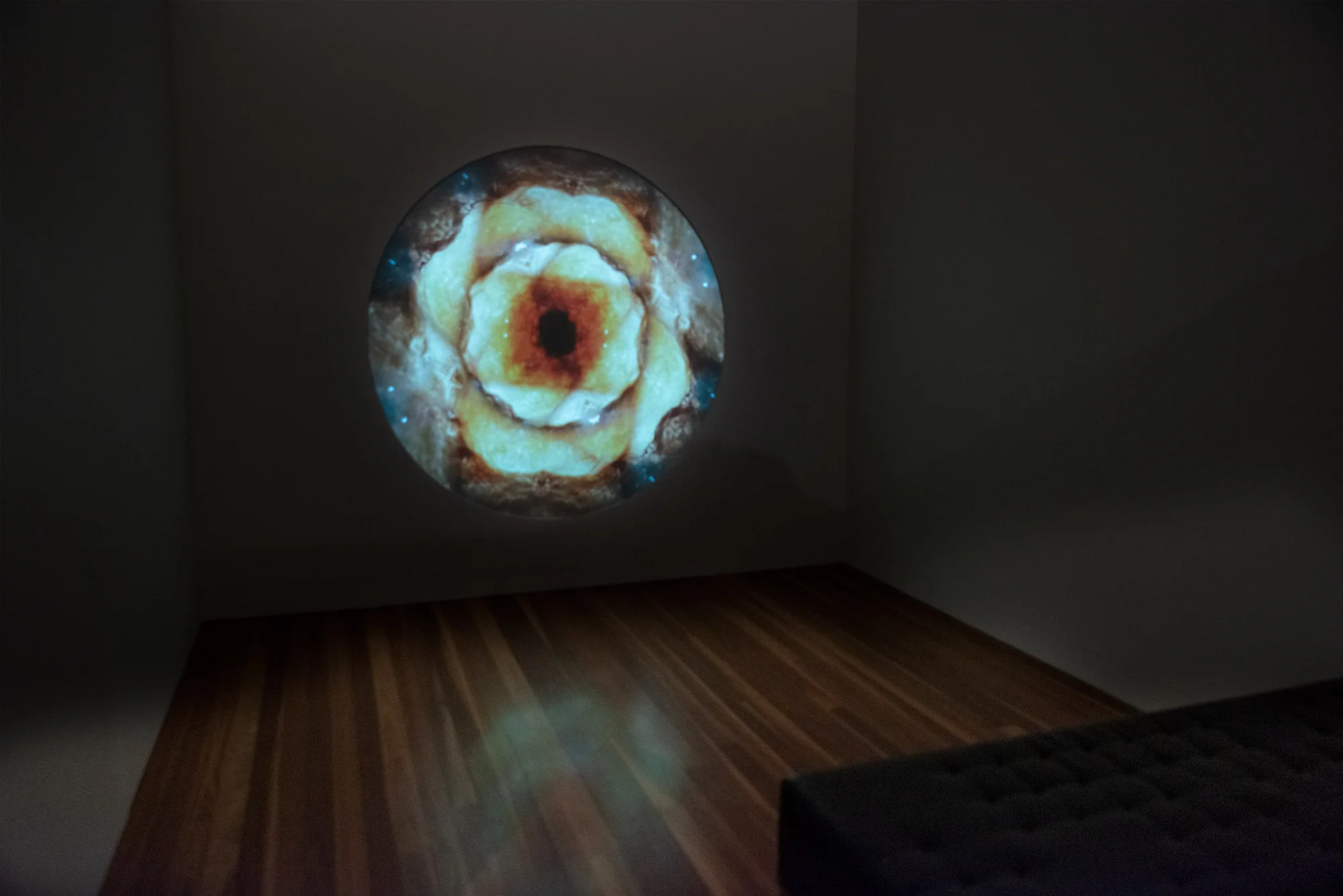 DANI TERRIZZI, Concentrate and ask again, 2018, video installation