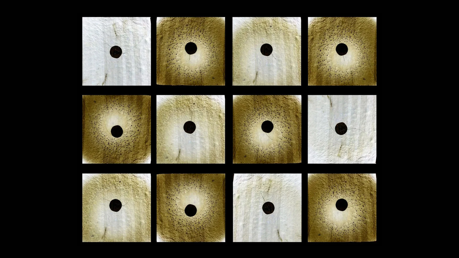 BRETT GRAHAM, ‘Plus and Minus’, 2018 video installation, Courtesy of Bartley + Company Art