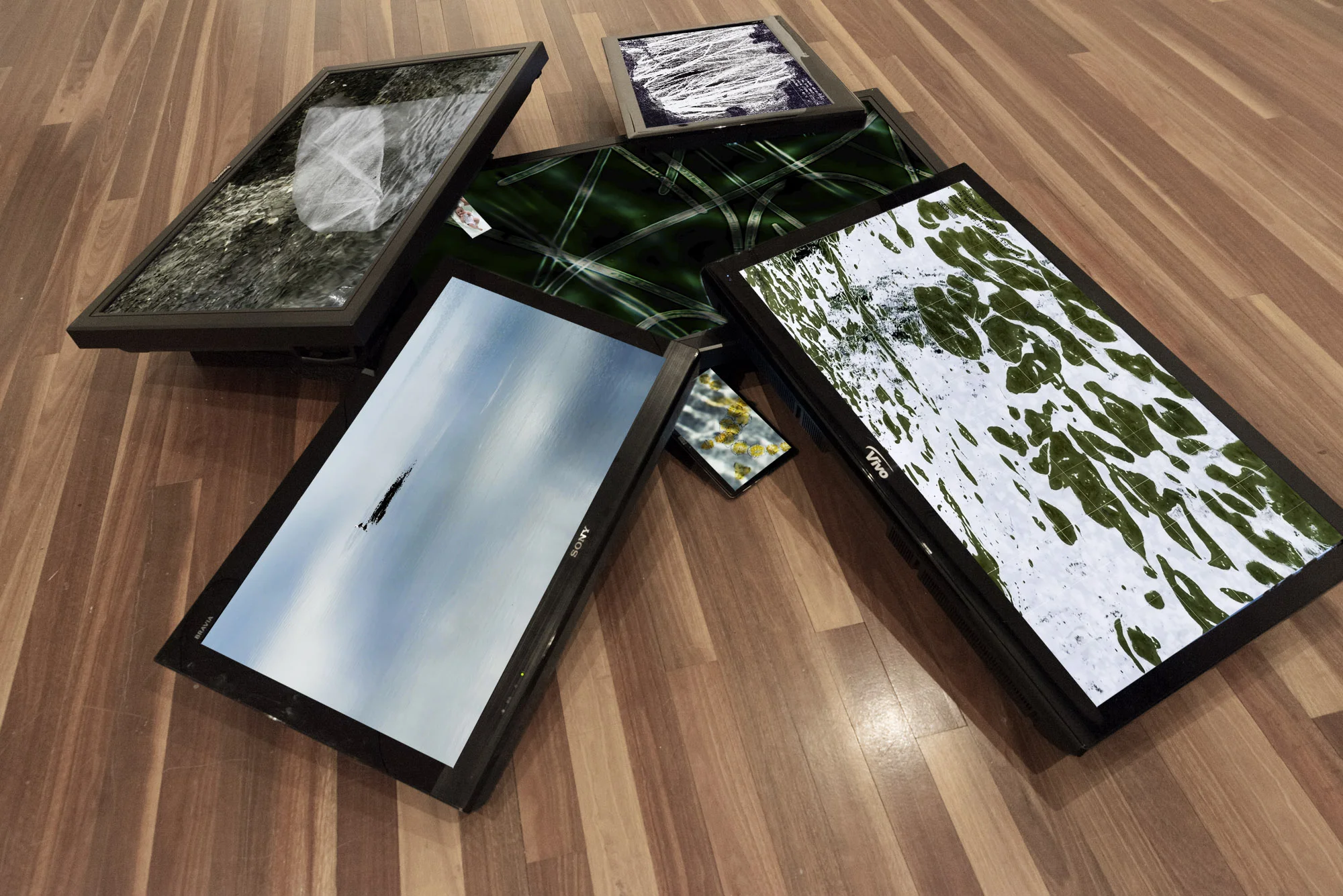 BRUCE FOSTER, Murmur#2 , 2019, video installation