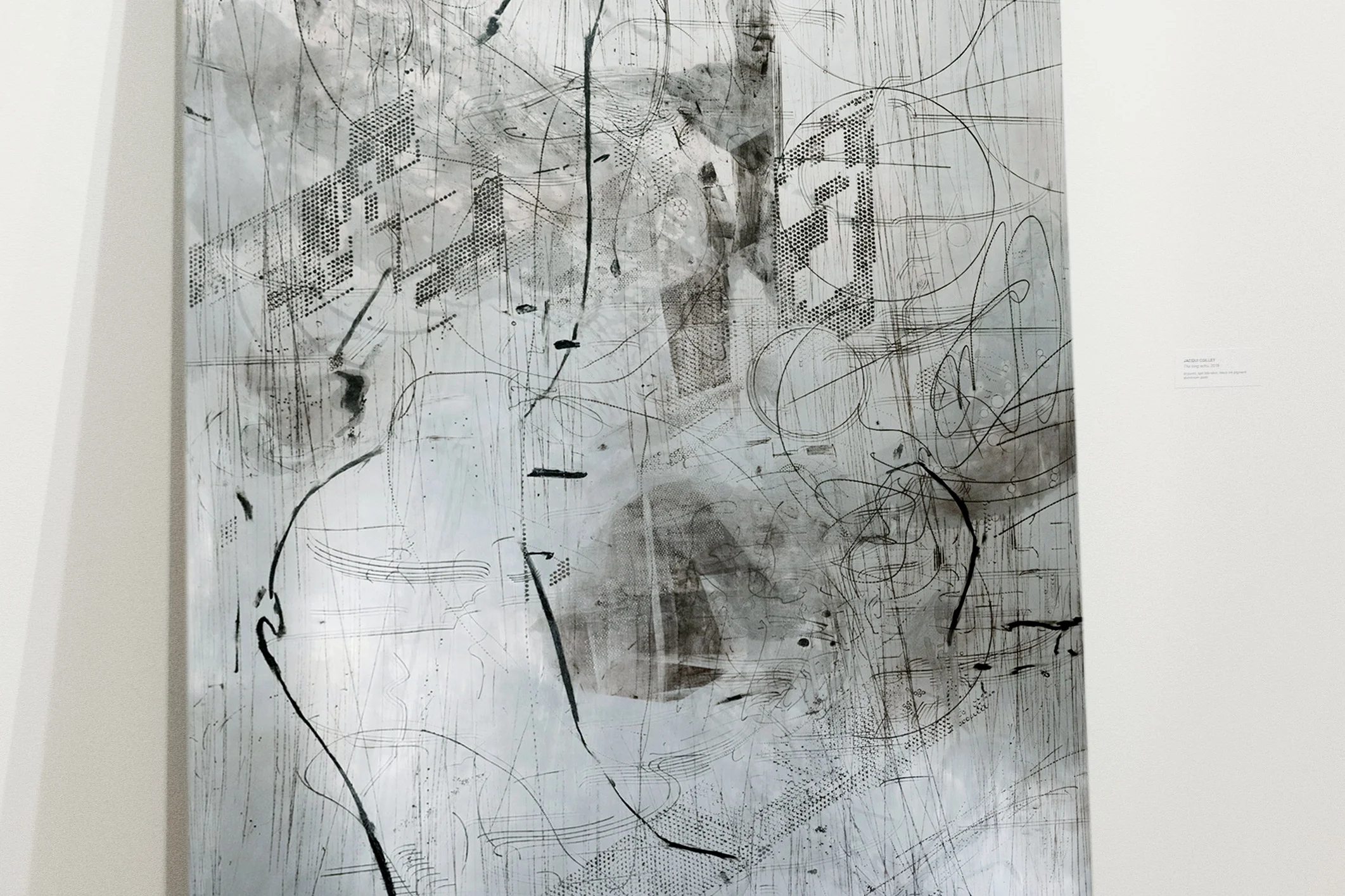 JACQUI COLLEY, The long echo (detail), 2018, etching, pigment on aluminium, Courtesy Chris Parkin collection