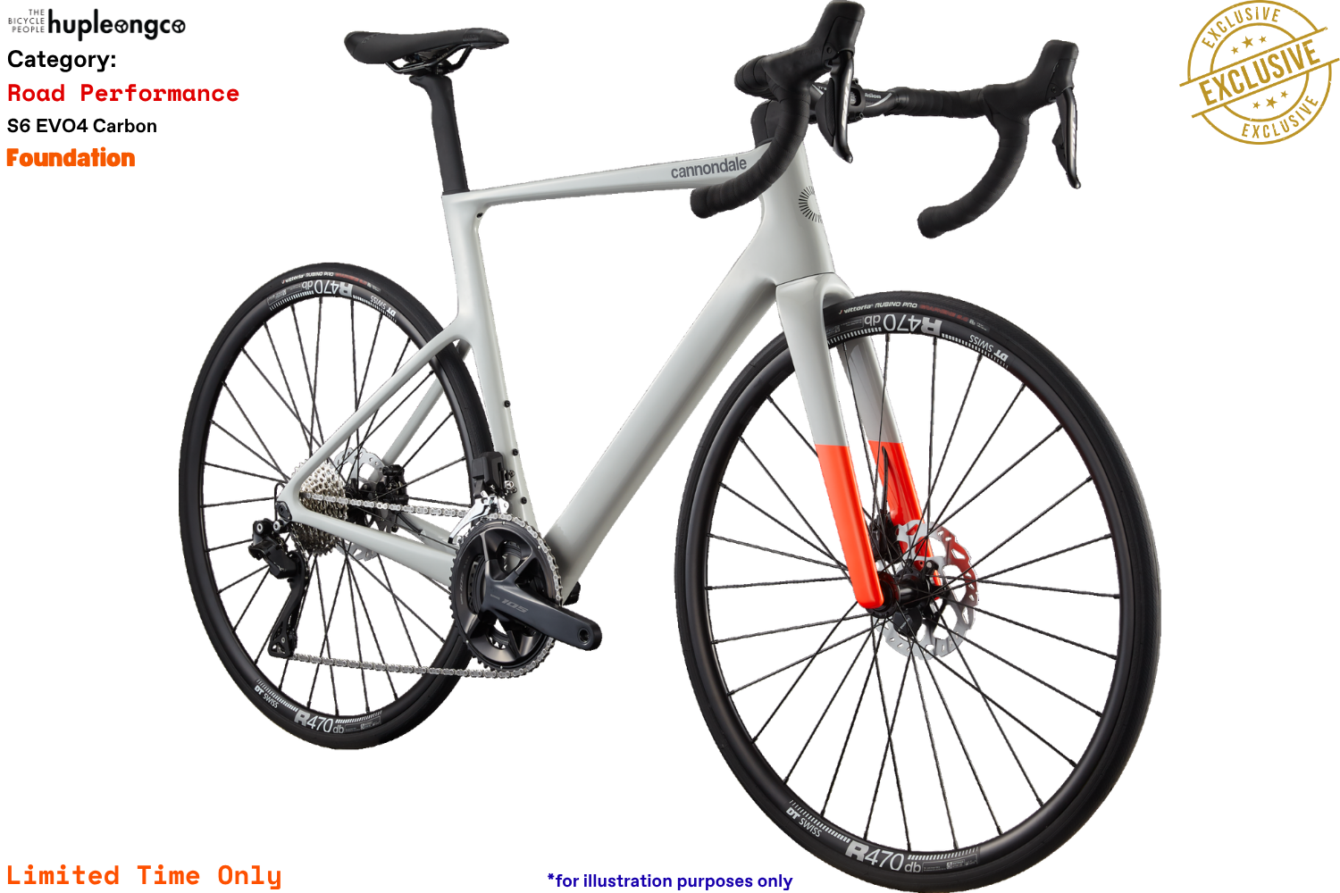 S6 EVO4 Carbon - Foundation - CHK - Photo 2.png