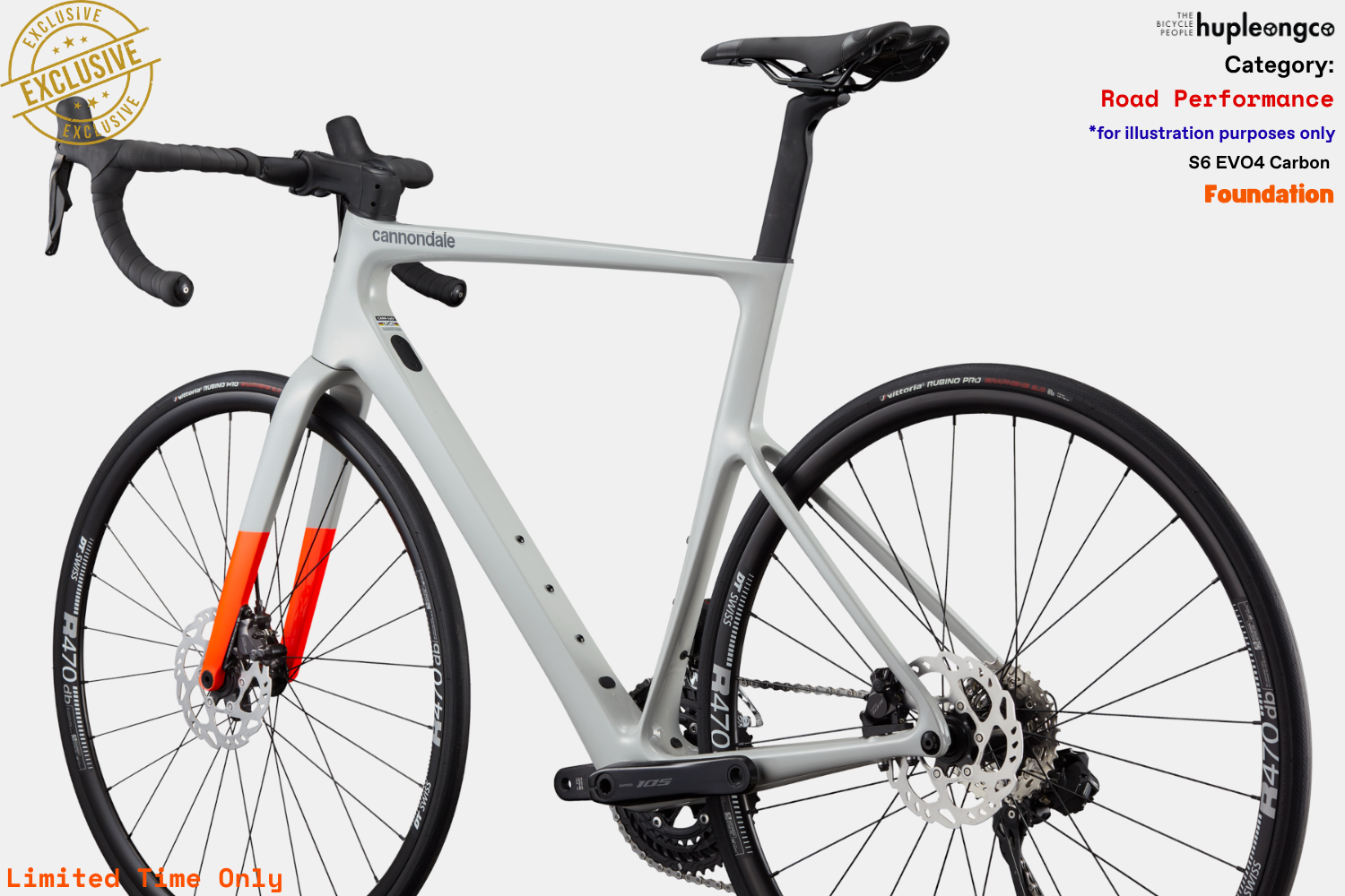 S6 EVO4 Carbon - Foundation - CHK - Photo 3.png