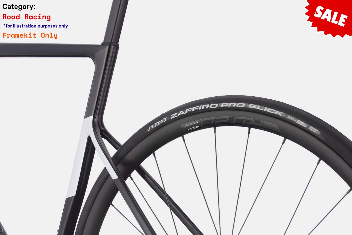S6 EVO3 CARBON DISC BRAKE - BPL - PHOTO 4.png