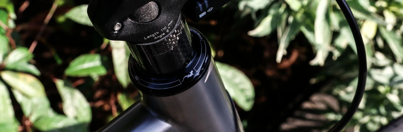 Sebas Litespeed 2.jpeg