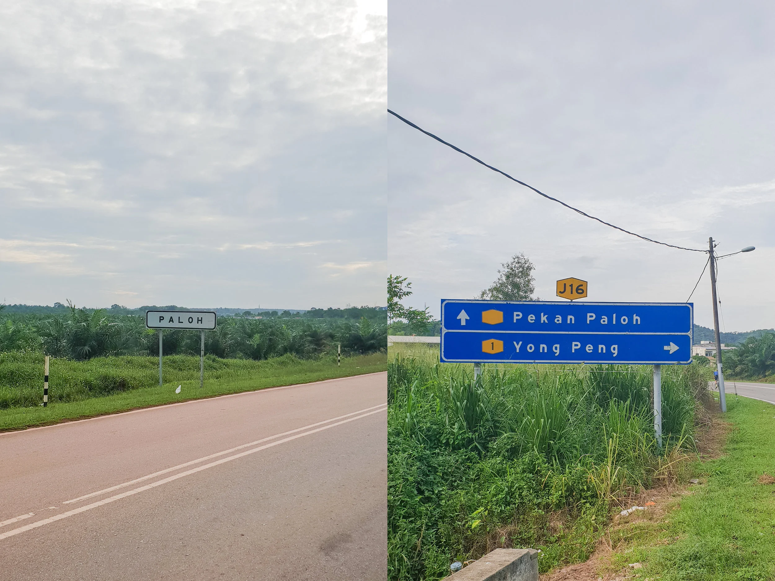Signs.jpg
