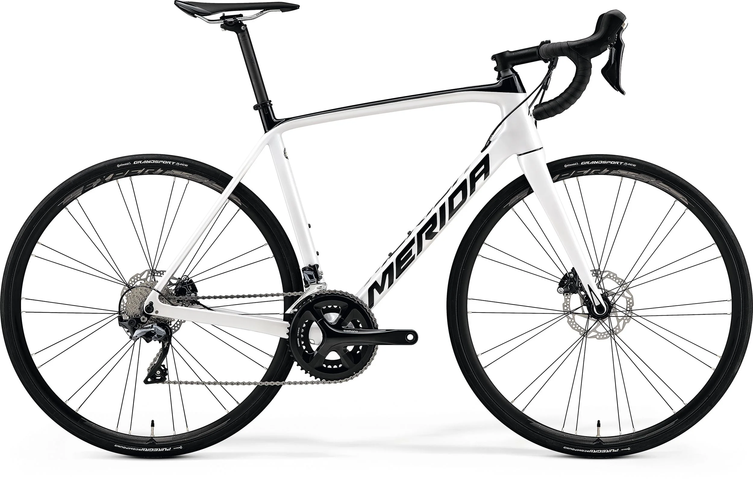 scultura 5000 disc