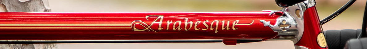 Colnago Arabesque_HL Website Banner.jpg