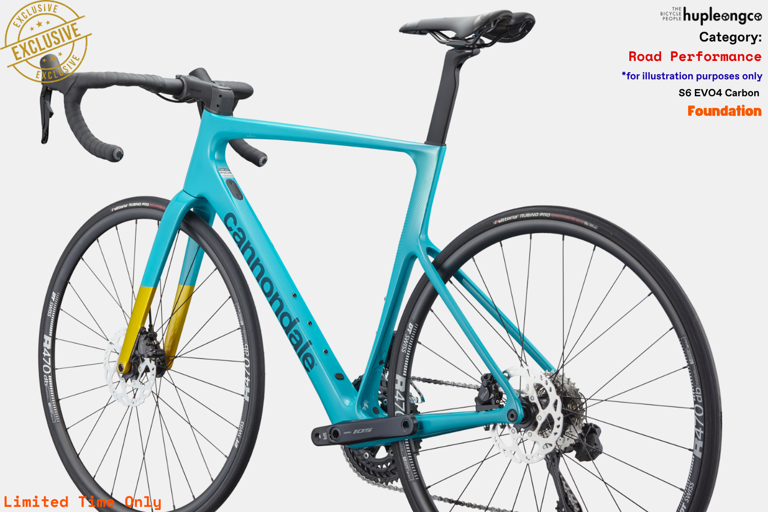 S6 EVO4 Carbon - Foundation - IBL - Photo 3.png
