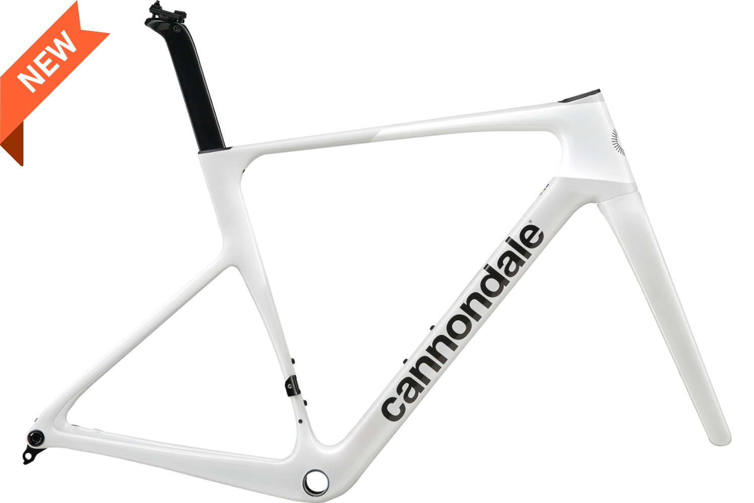 S6 EVO5 Carbon CAS Frame Kit - WS - 1.png