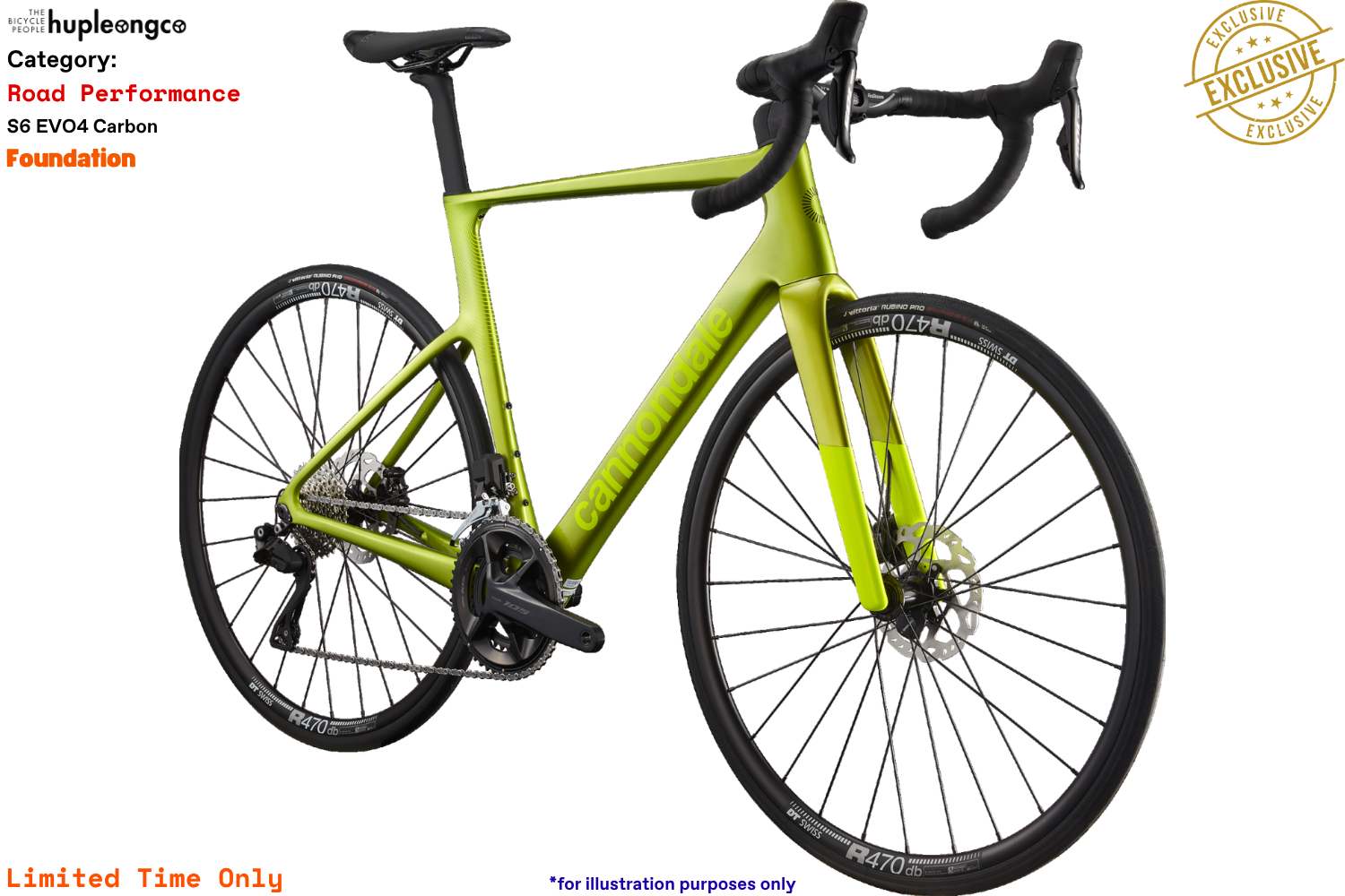 S6 EVO4 Carbon - Foundation - VGN - Photo 2.png