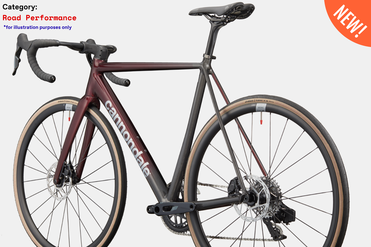 CAAD14 2 - CHL - Photo 3.png