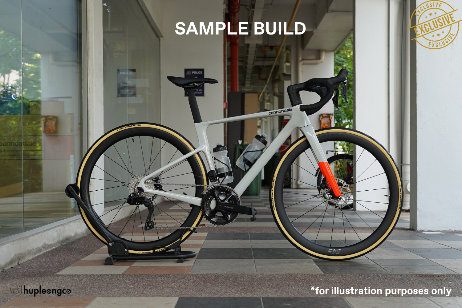 S6 EVO4 Carbon - Foundation - CHK - Photo 7.png