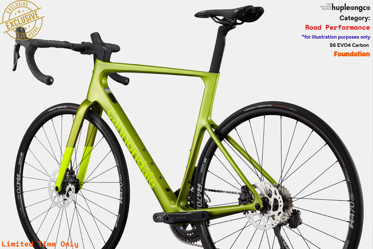 S6 EVO4 Carbon - Foundation - VGN - Photo 3.png