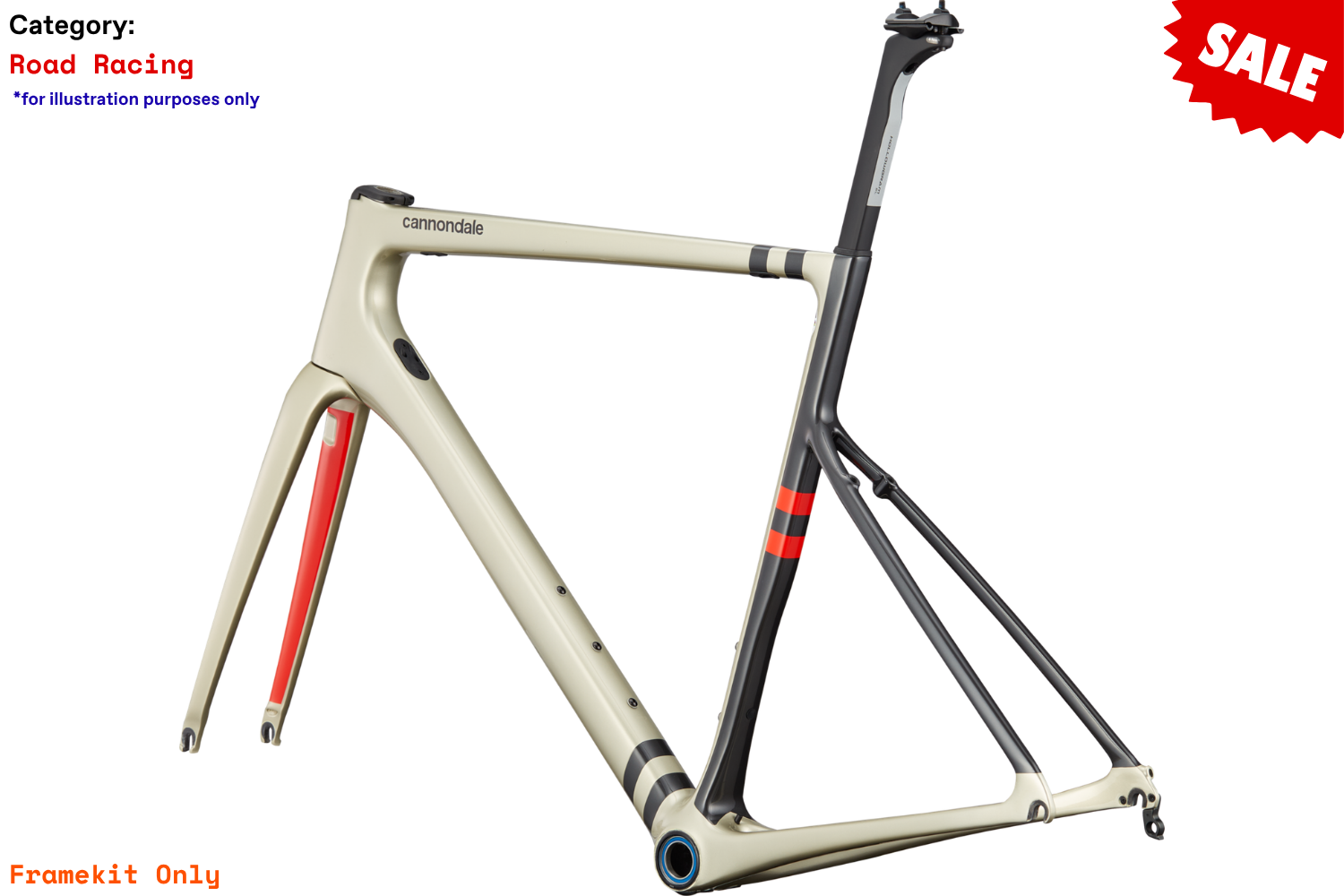 S6 EVO3 CARBON RIM BRAKE - CHP - PHOTO 3.png
