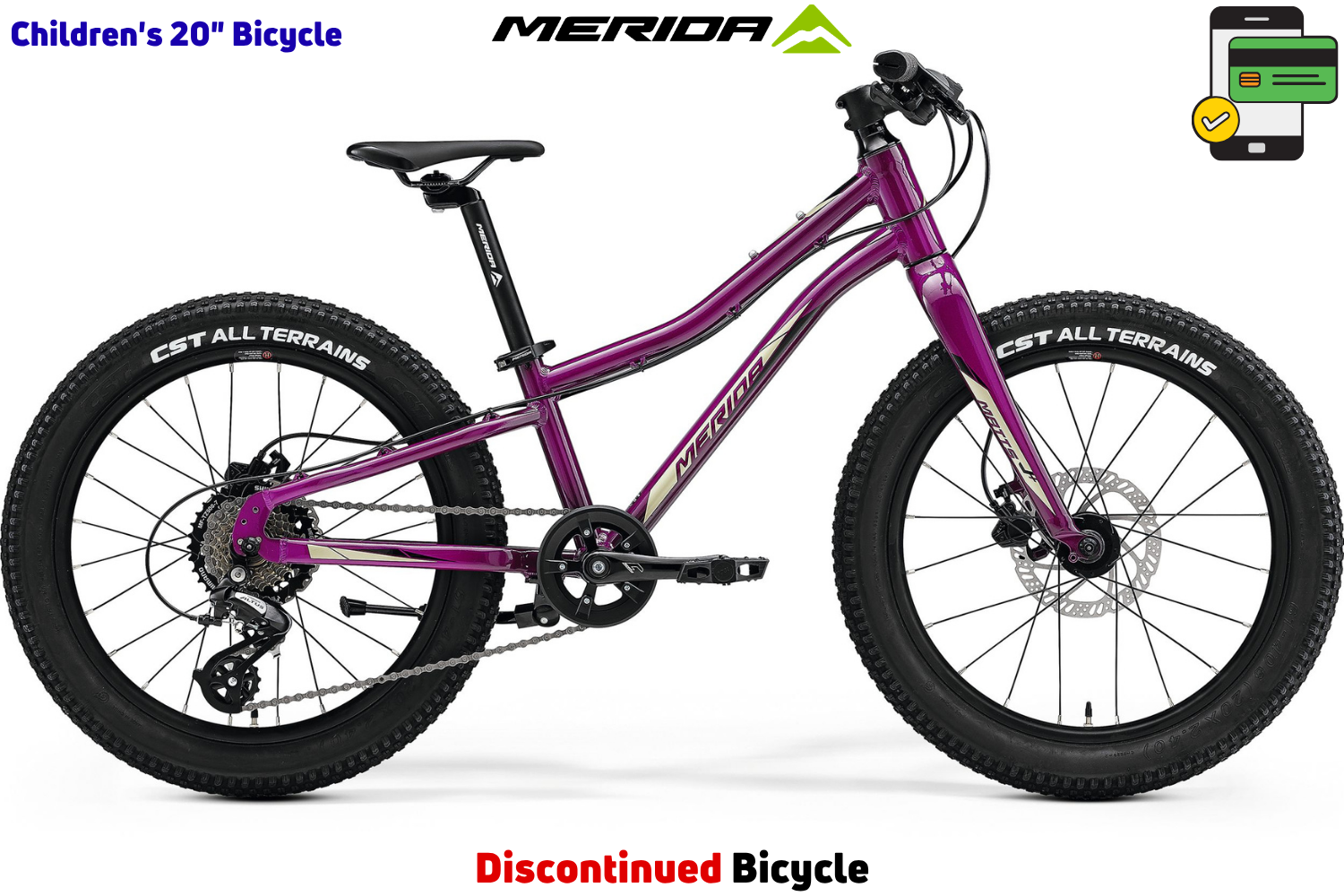 Merida Matts.J20+ - Purple (Black/Champagne)