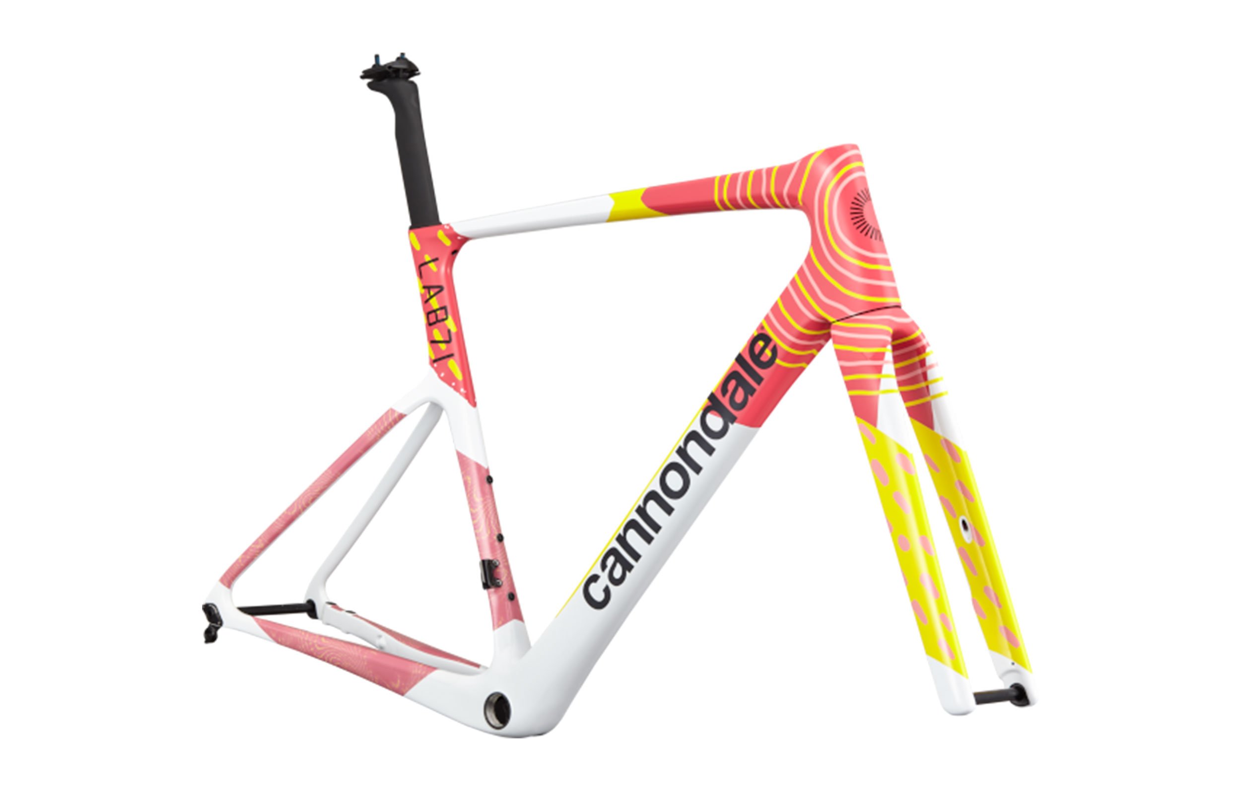 Cannondale-SuperSix-EVO-LAB71-Team-Changeout-Frameset---ERP---EF-Pro-Cycling-2-R.jpg