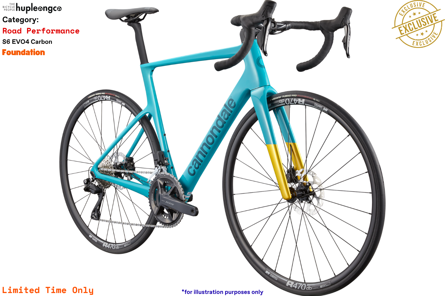 S6 EVO4 Carbon - Foundation - IBL - Photo 2.png