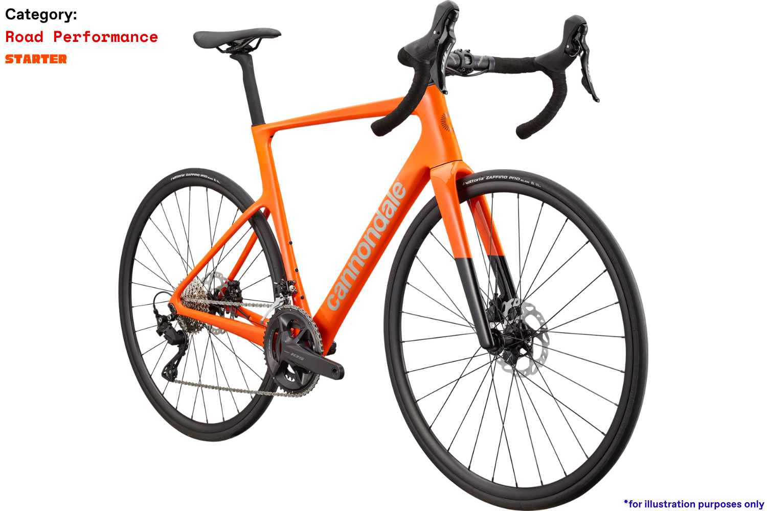 S6 EVO4 Carbon - Starter - ORG - Photo 2.png