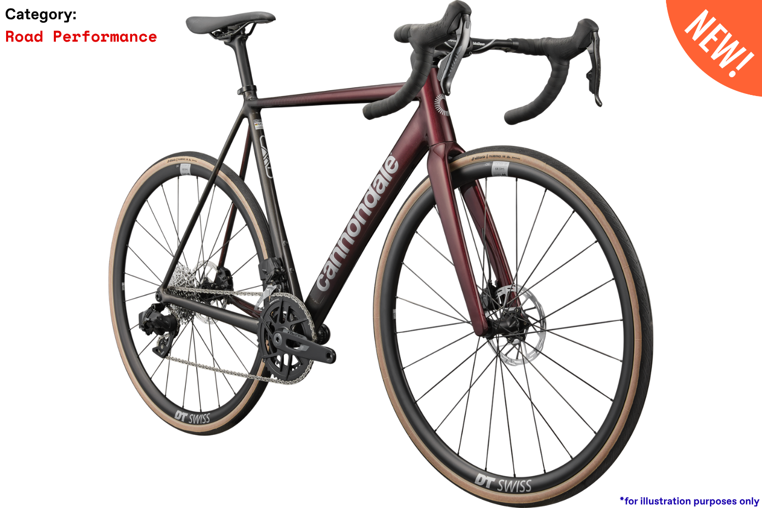 CAAD14 2 - CHL - Photo 2.png