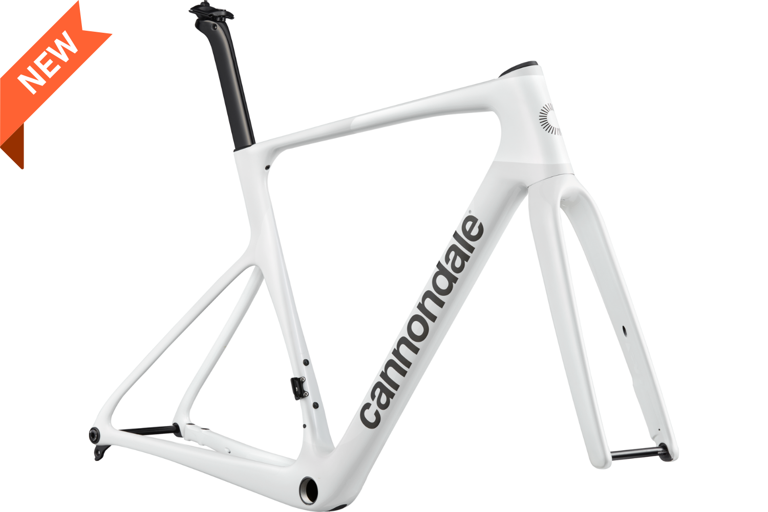 S6 EVO5 Carbon CAS Frame Kit - WS - 2.png