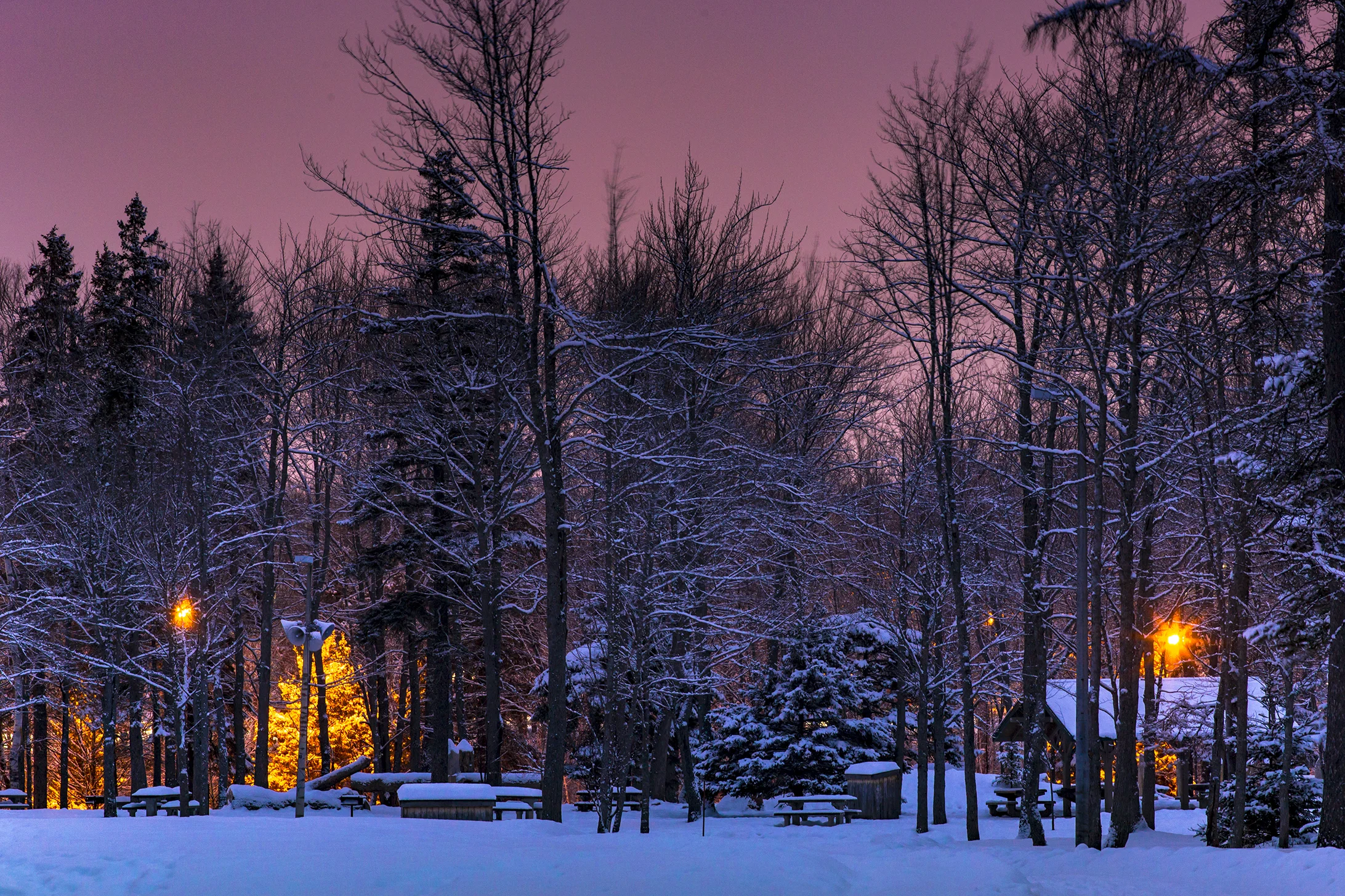 Winter Sunrise