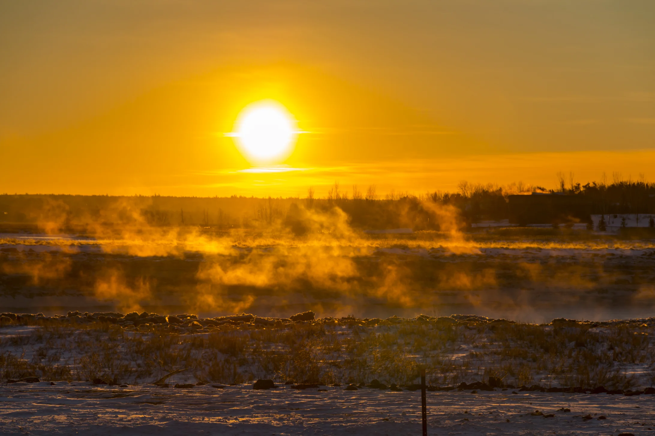 Yellow Fog
