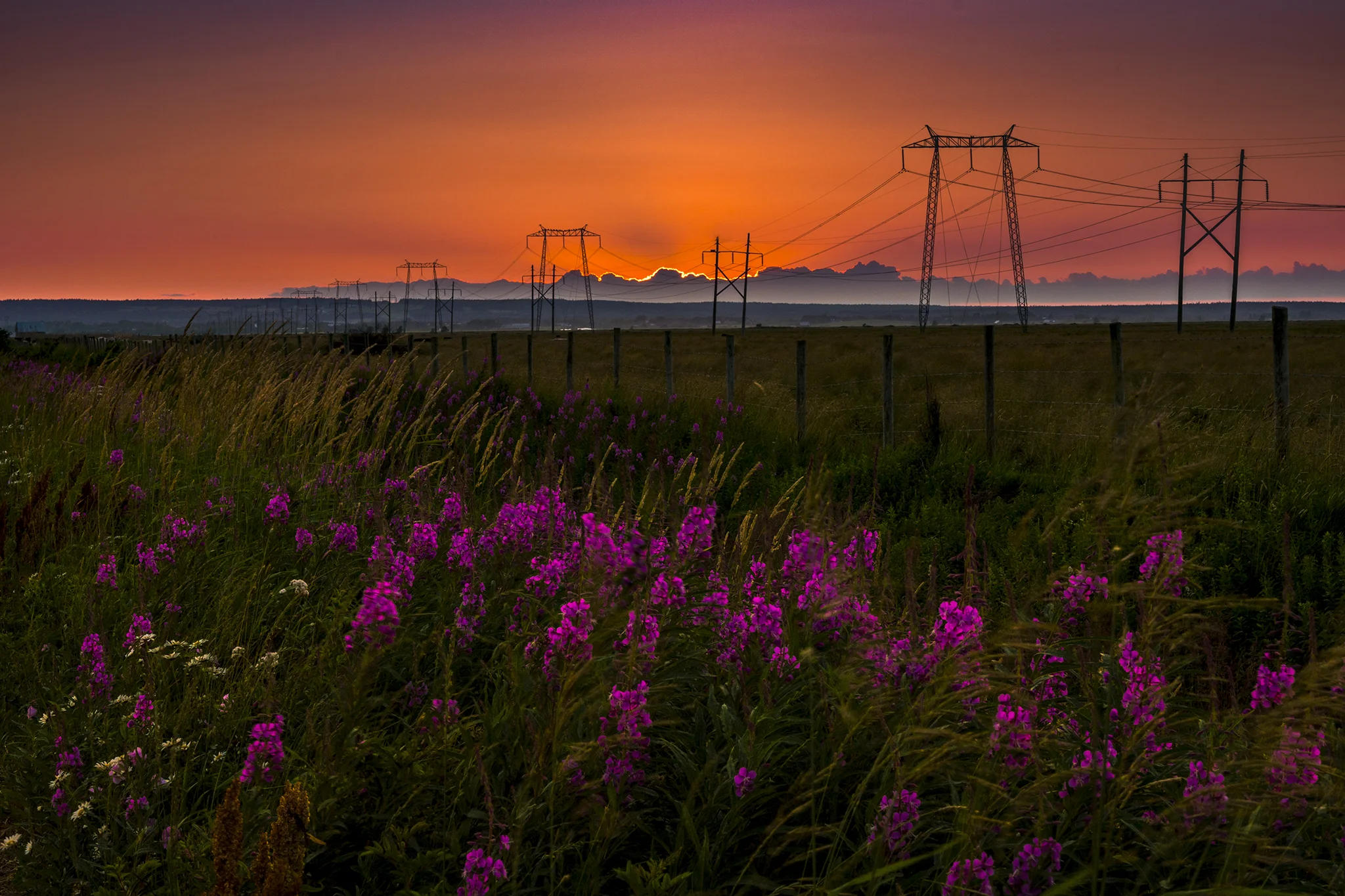 Sunset over Fireweed Field