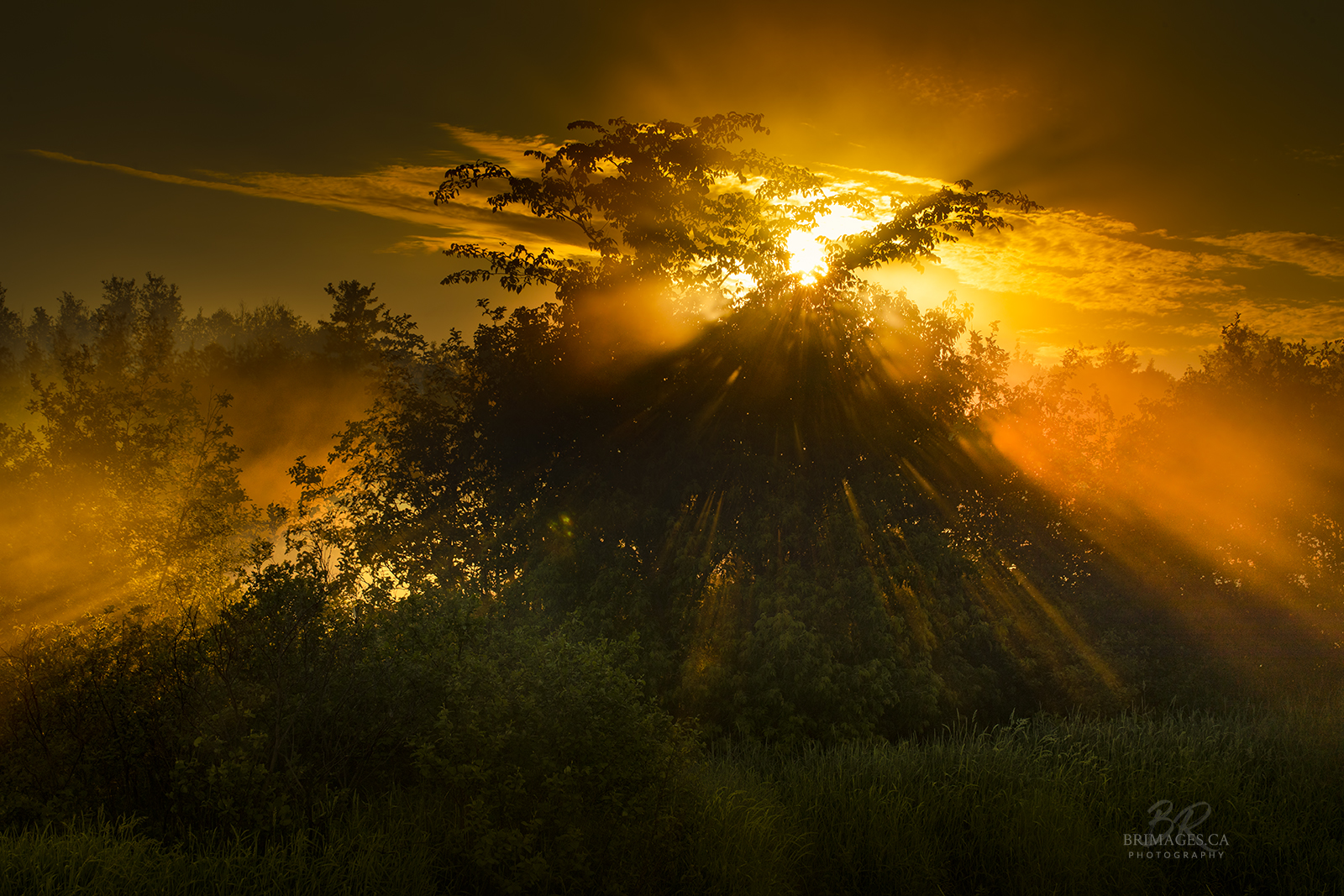 Morning Fire