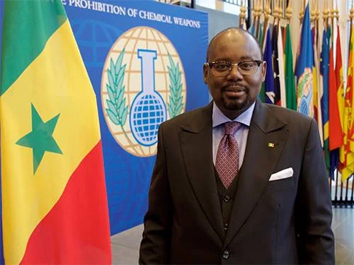 H.E. Dr. Momar Diop (Ambassador of Senegal to Netherlands) attends to AFWEU!