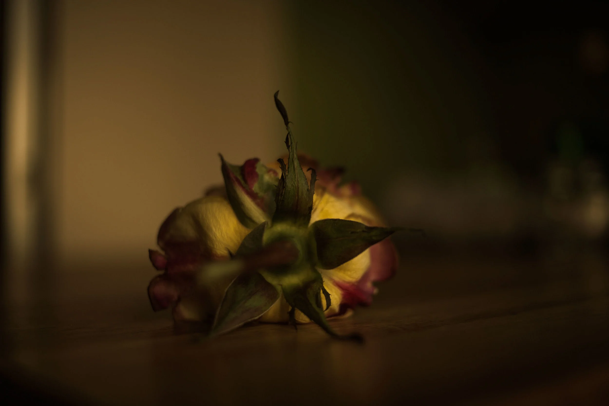 Test mat eple_pluss (2 of 5).jpg