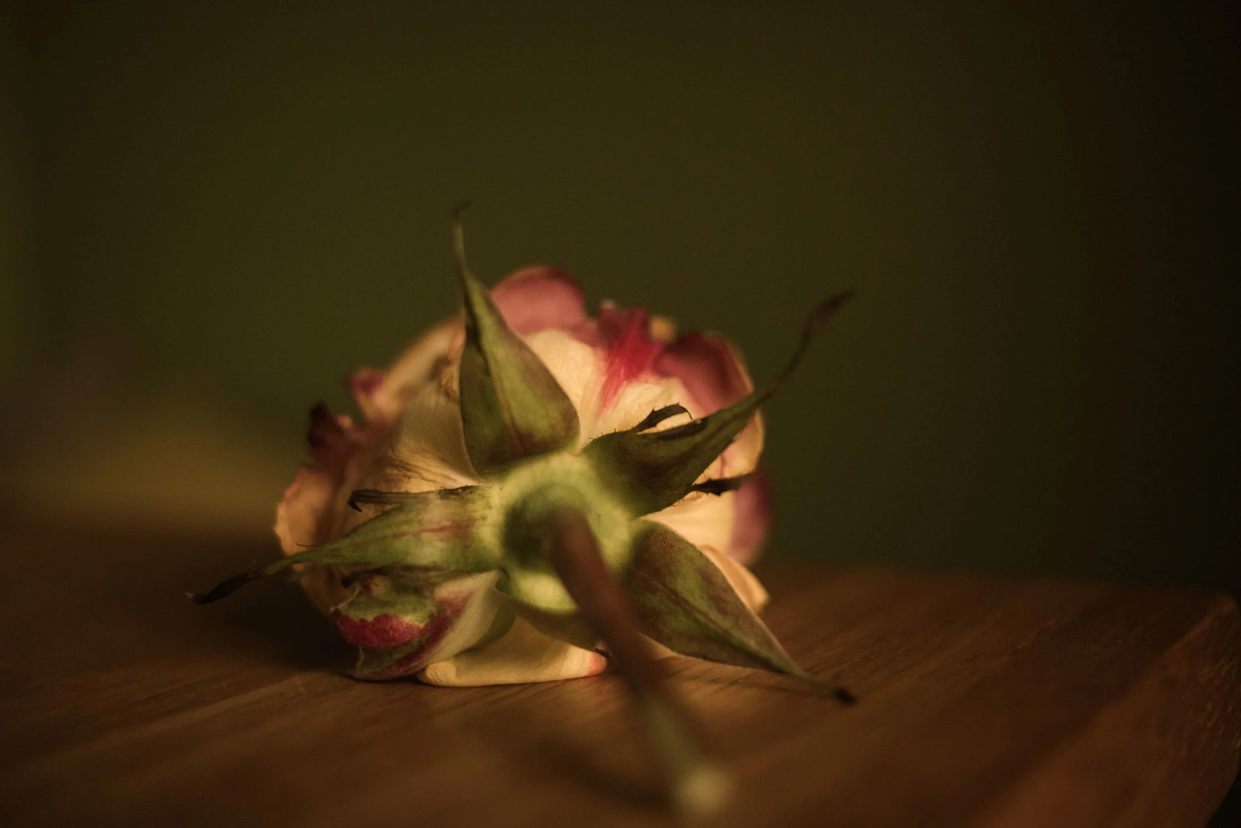 Test mat eple_pluss (3 of 5).jpg