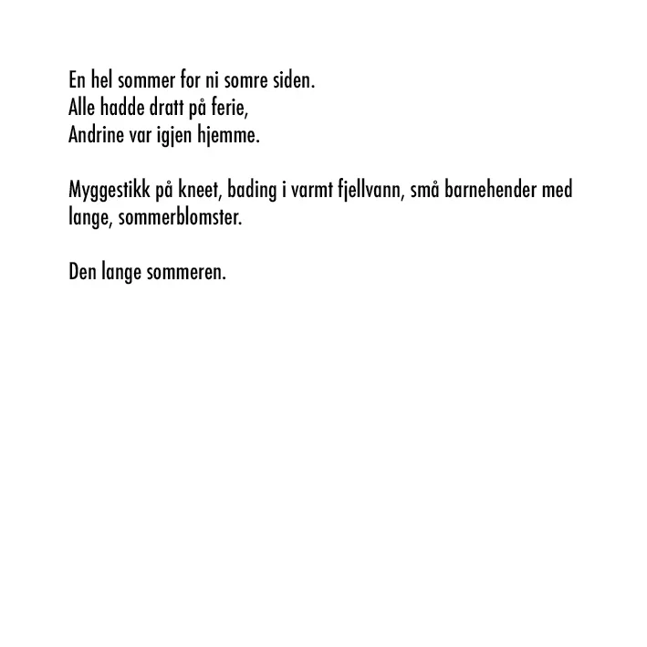 Den lange sommeren txt.jpg