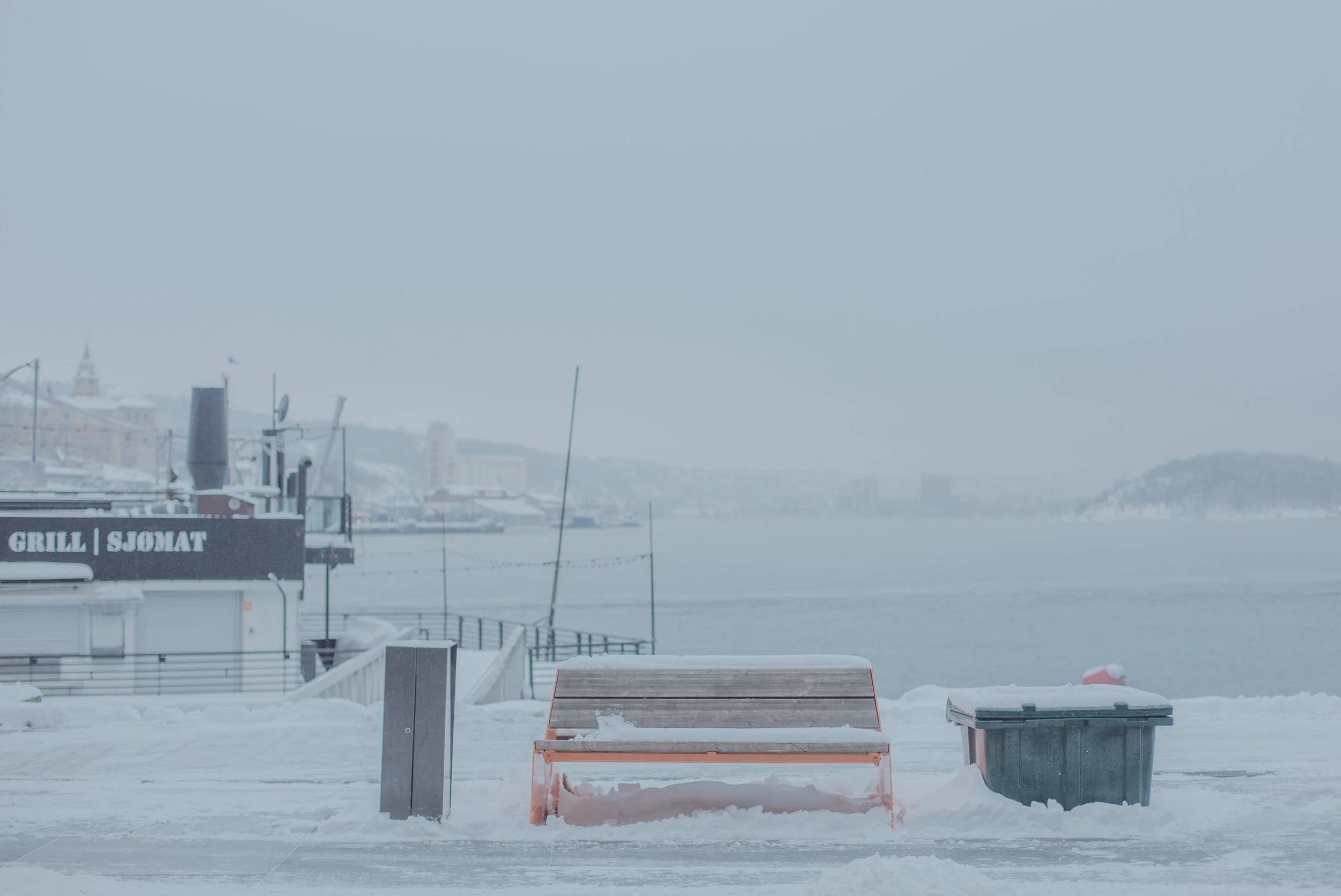 Oslo by fog-7.jpg