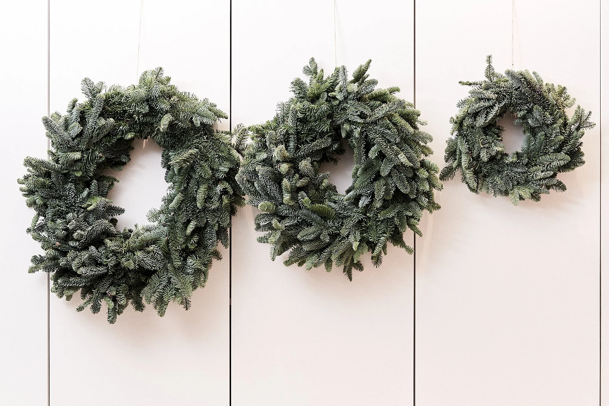 Coroa de Natal Abeto