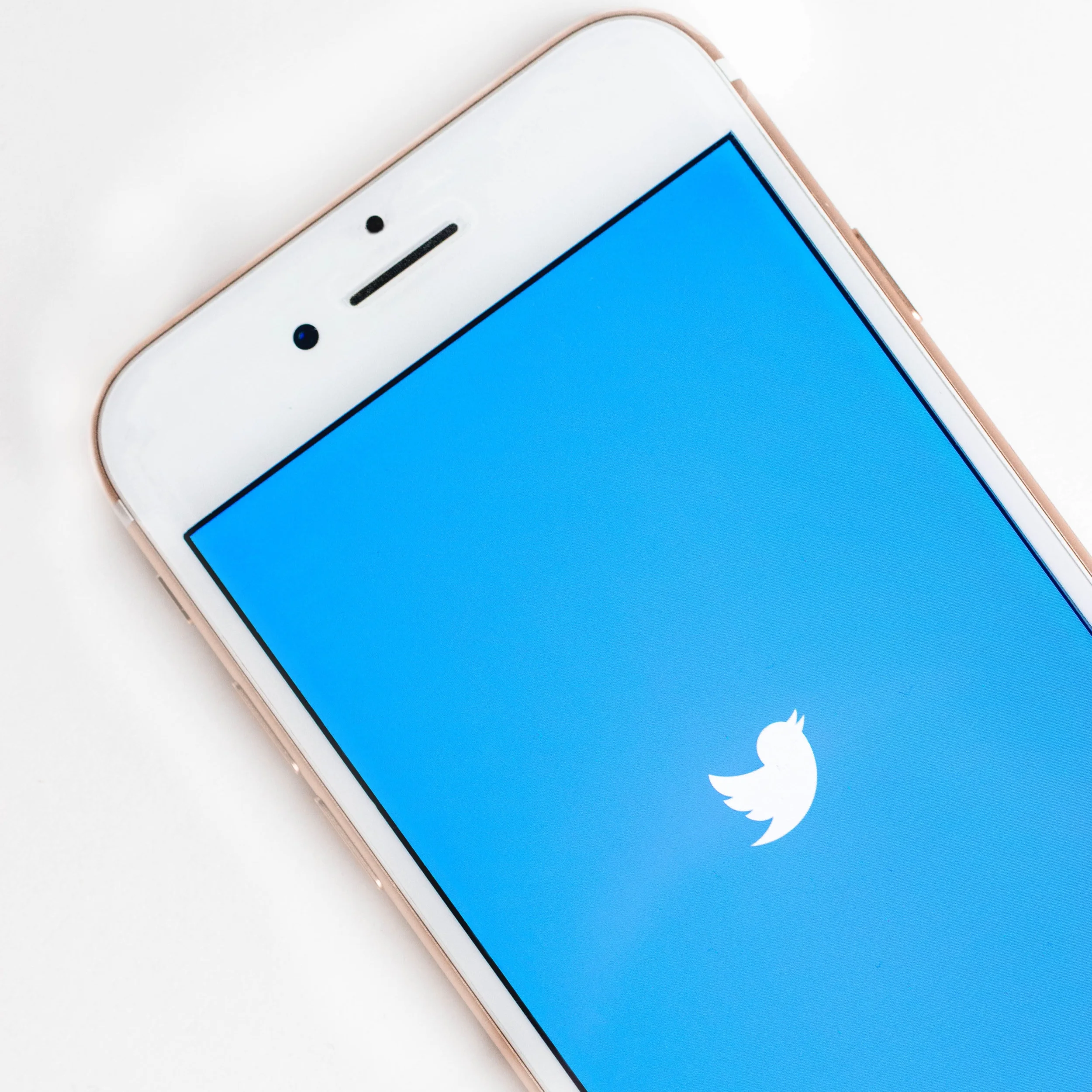 5 Reasons Why Your Business Needs Twitter