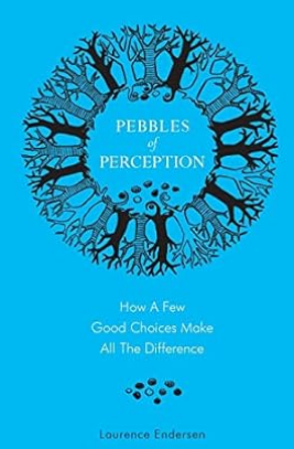 5 Ideas You Should Know From: Pebbles of Perception: How a Few Good Choices Make All The Difference by Laurence Endersen 