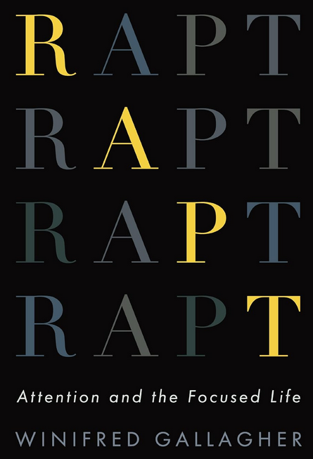5 Ideas You Should Know from: Rapt: Attention and the Focused Life by Winifred Gallagher