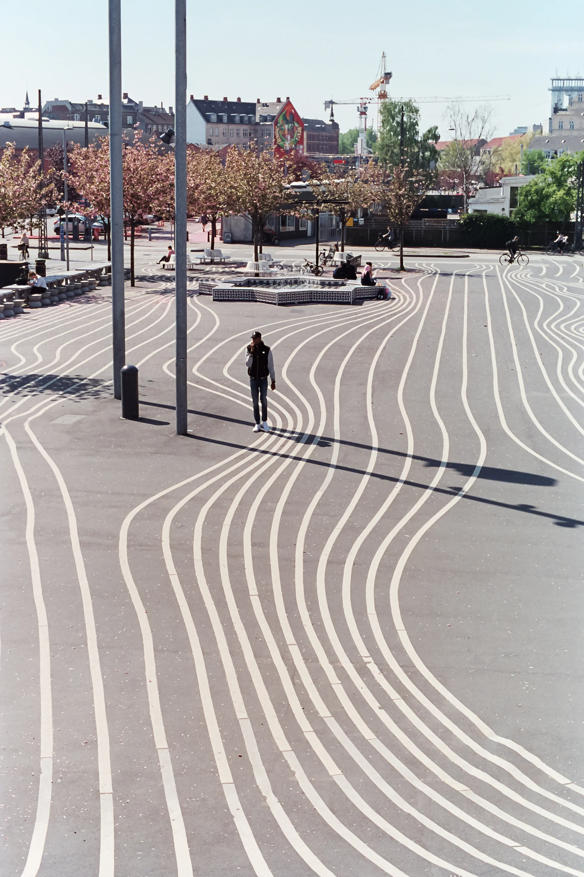 AA008-edit.jpg