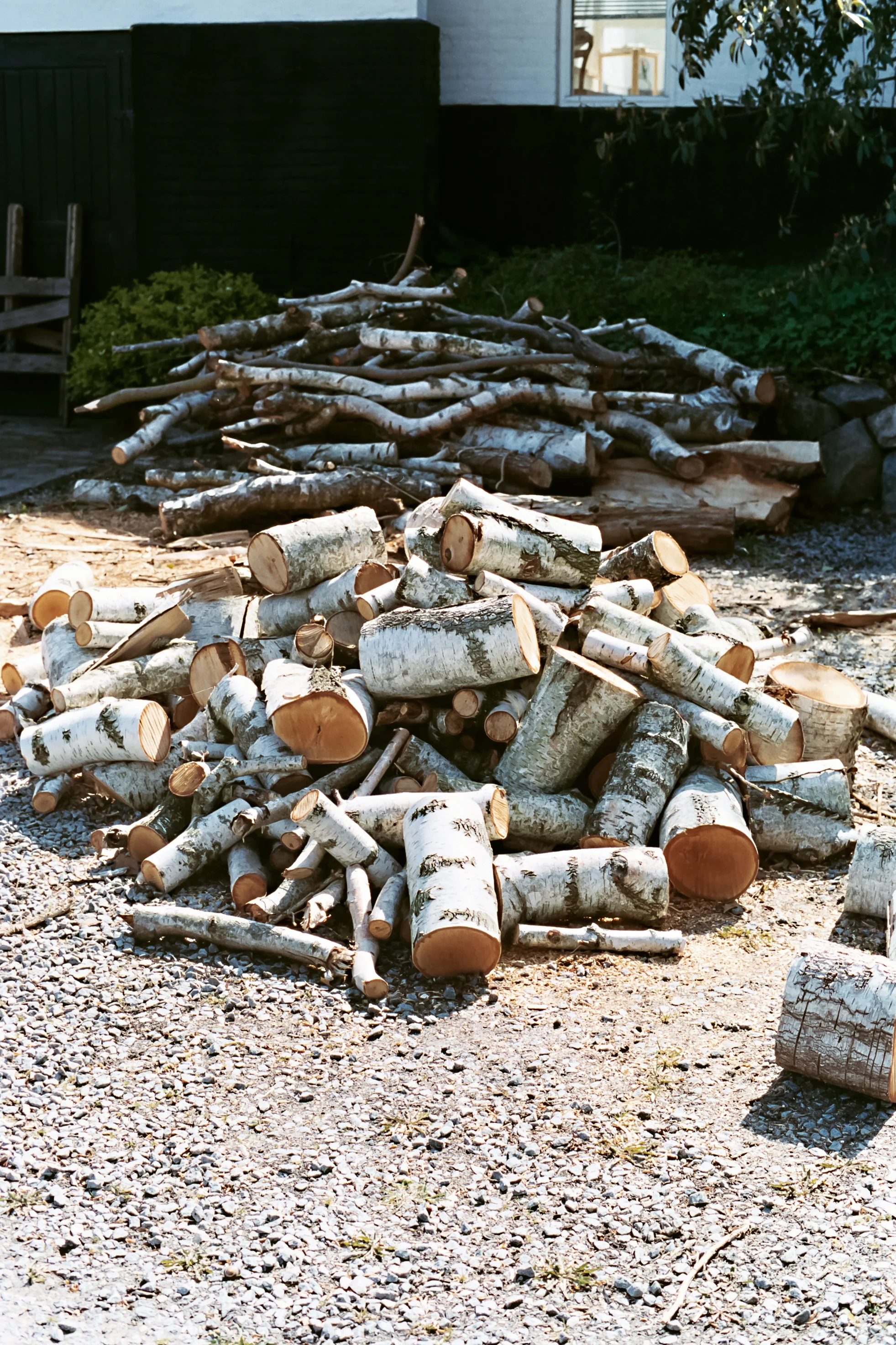 AA031-edit.jpg