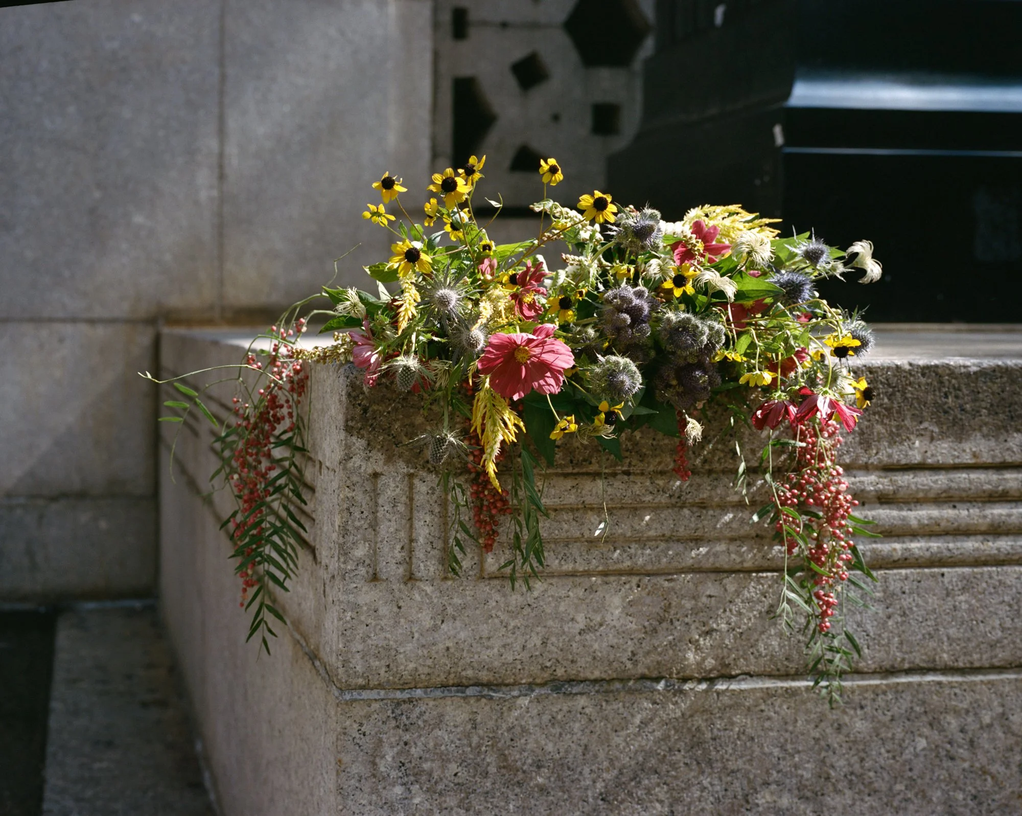 Phoebus & Charlie Get Married_Mamiya_5.jpg